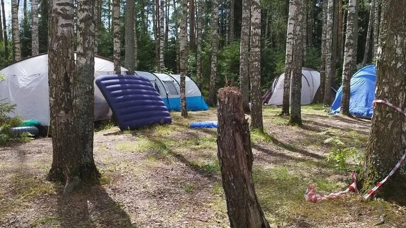 В заказнике Шатуры экоинспекторы зафиксировали ряд нарушений режима особой охраны