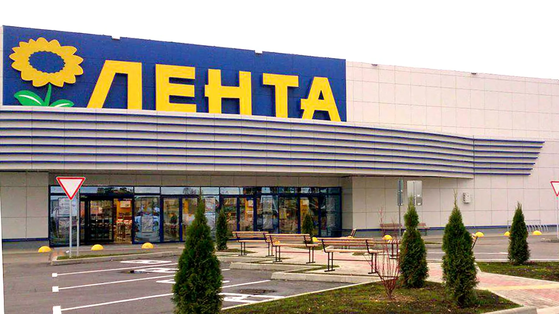 Яндекс Лента Фото