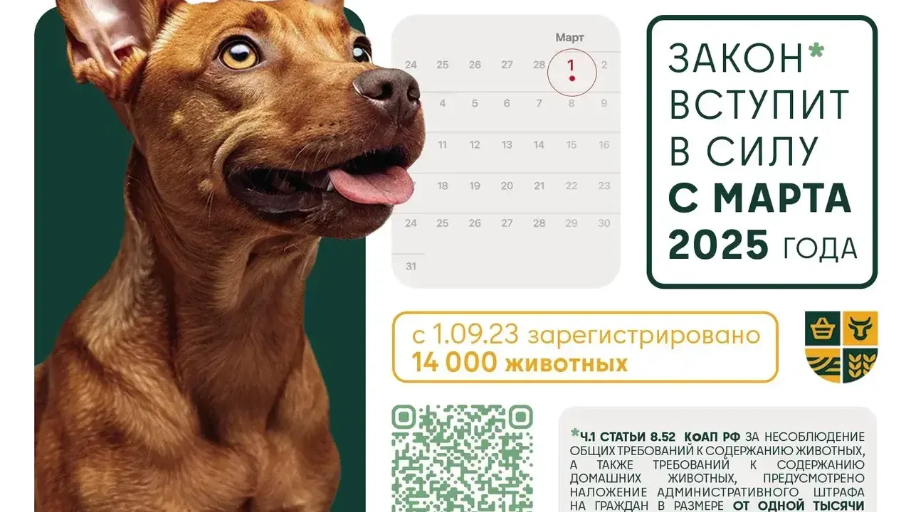 Регистрация собак в Подмосковье станет обязательной с марта
