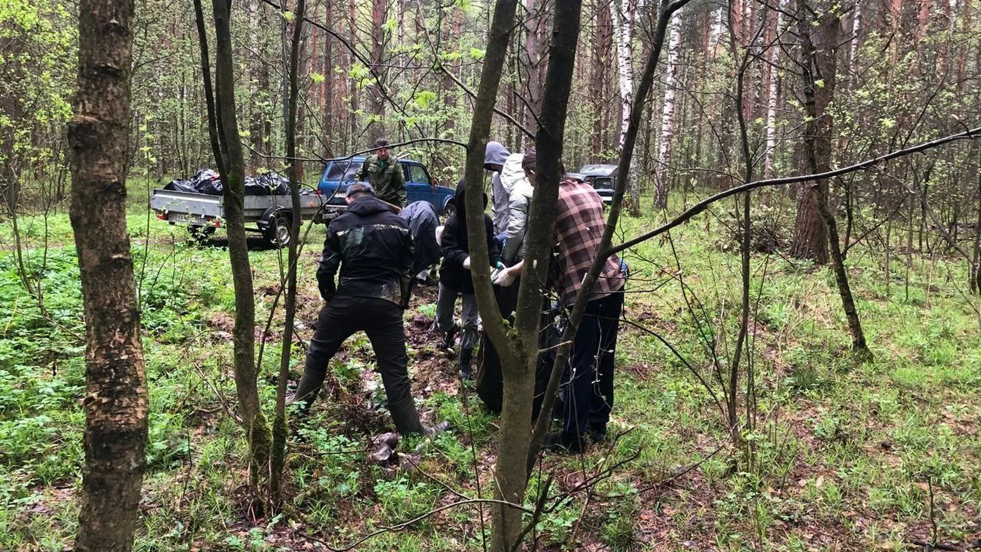 Экотропа появится в одном из лесничеств Дмитровского округа
