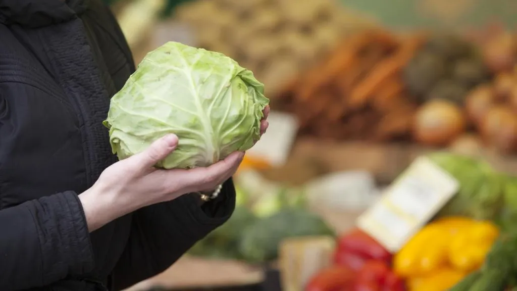 Пенсионерам организуют бесплатную доставку продуктов, купленных на ярмарке в Луховицах