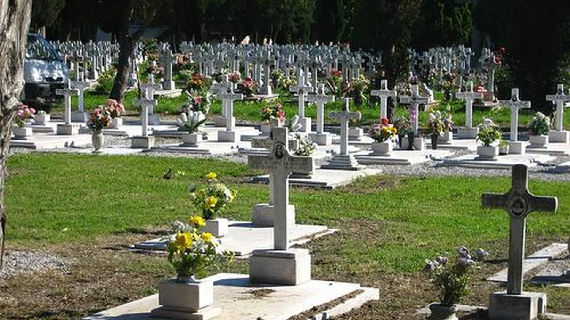 Власти Москвы планируют увеличить площадь Перепечинского кладбища