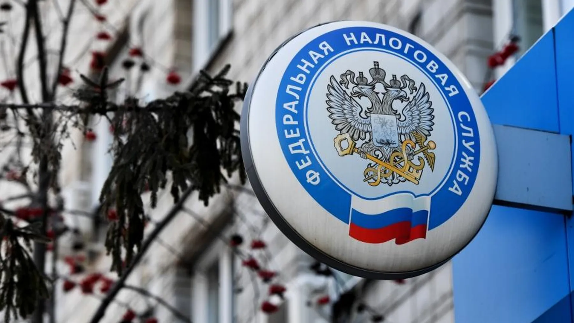ФНС ожидает увеличения поступления налогов в бюджет РФ на 12%