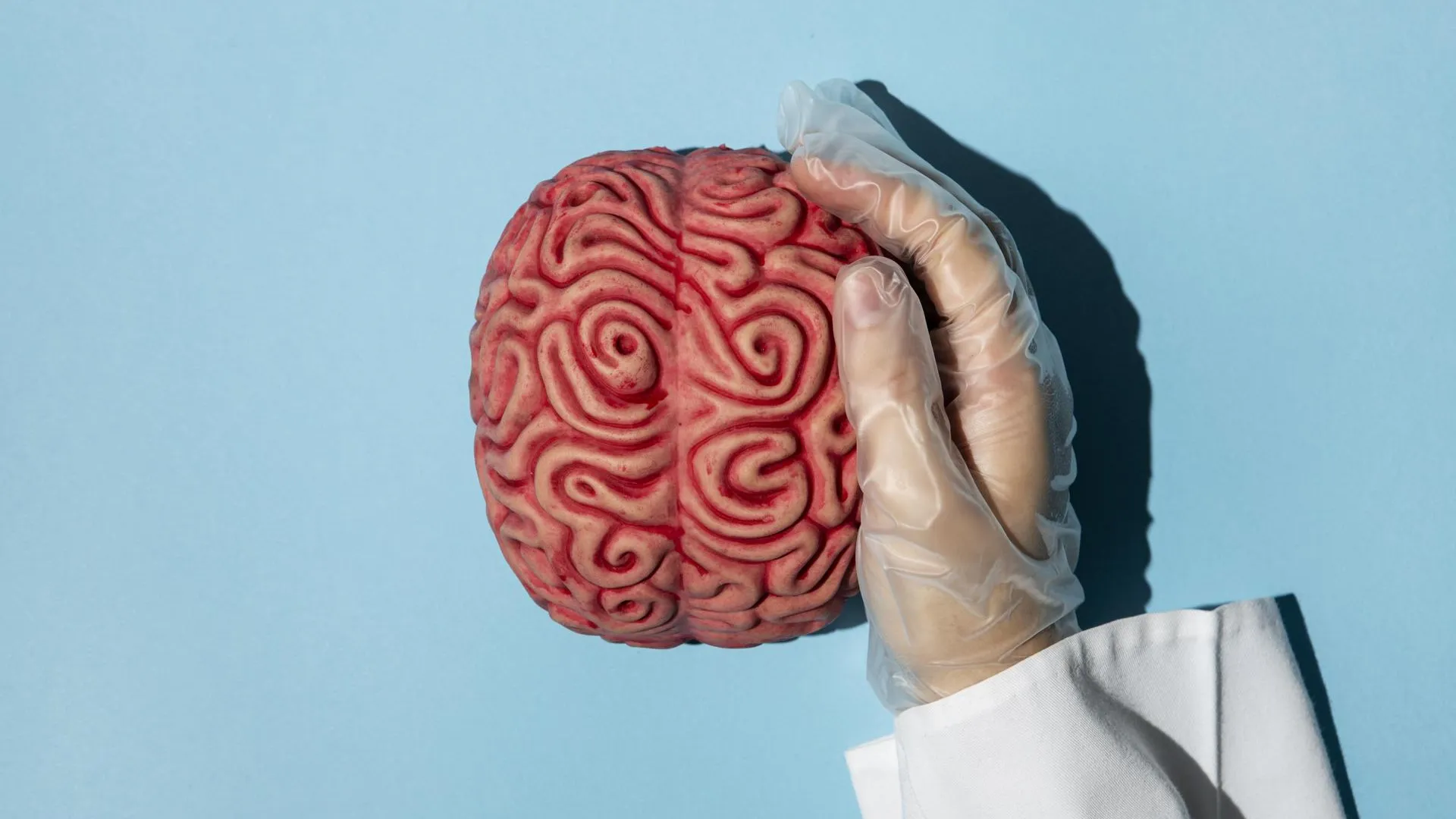 8 фактов о человеческом мозге, которые могут вас удивить