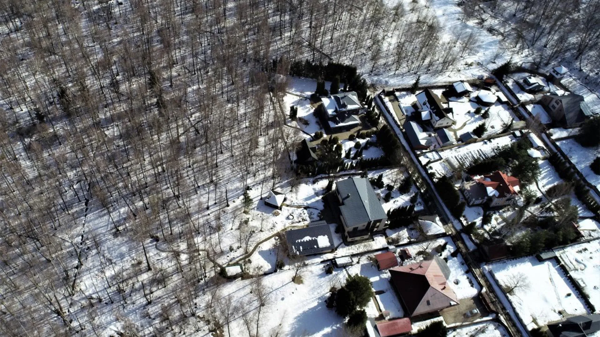 136 земельных участков обследовали в Подмосковье за неделю проведения операции «Смежник»