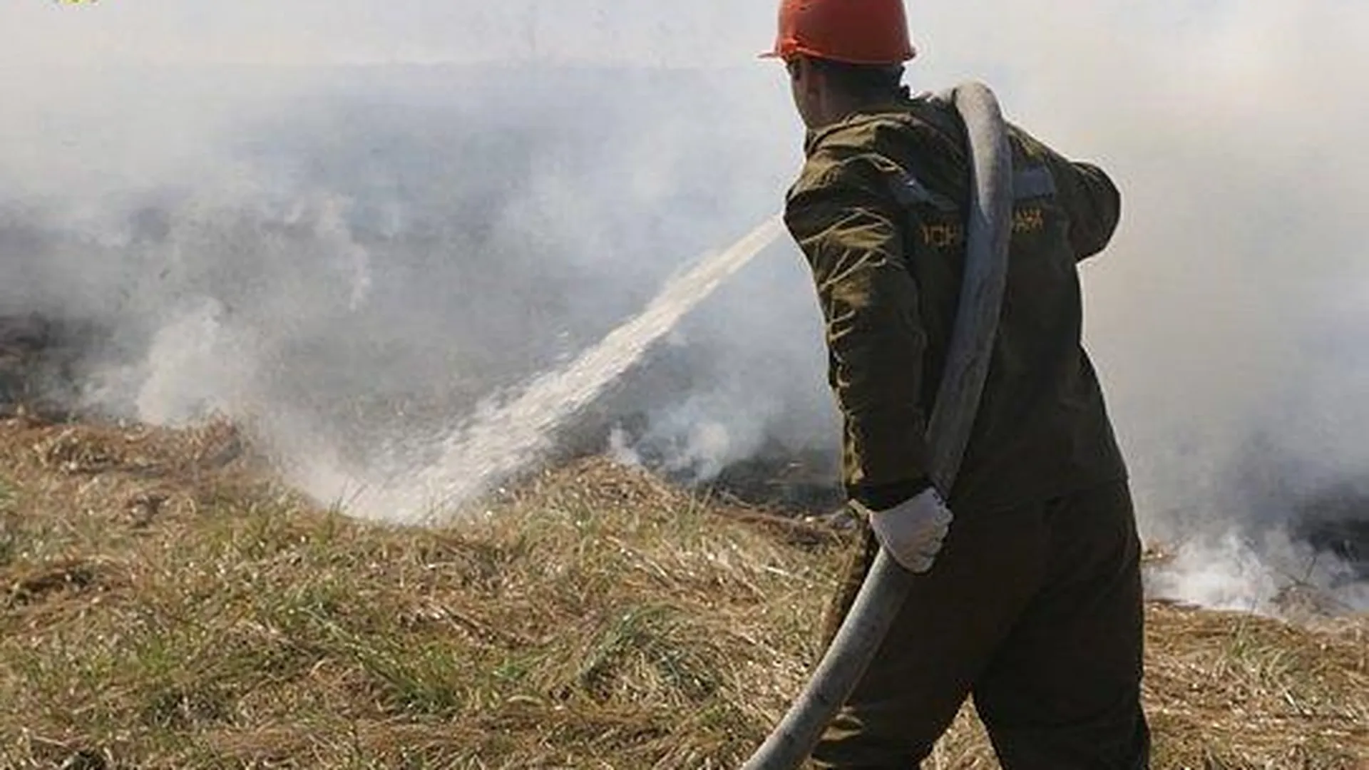 Число лесных пожаров в Подмосковье сократилось более чем вдвое за 2015 г