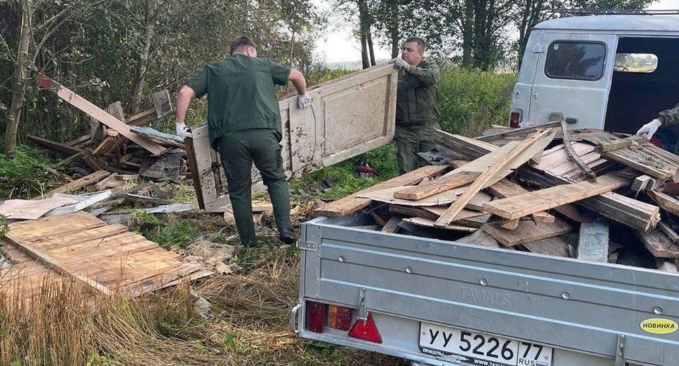 14 навалов мусора выявили на лесных участках в Подмосковье с начала года