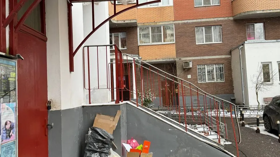 Более 20 организаций Подмосковья наказали за лишние КГО во дворах