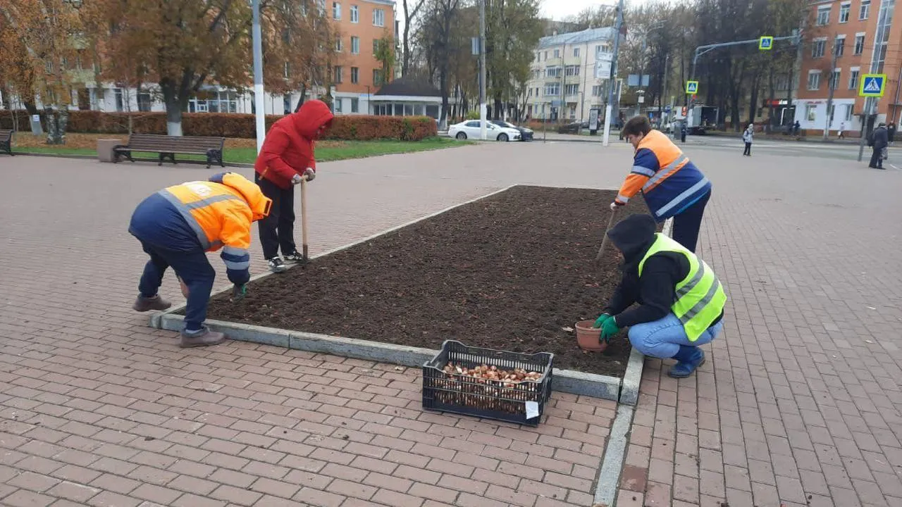 В Подольске весной на клумбах распустятся более 120 тыс тюльпанов