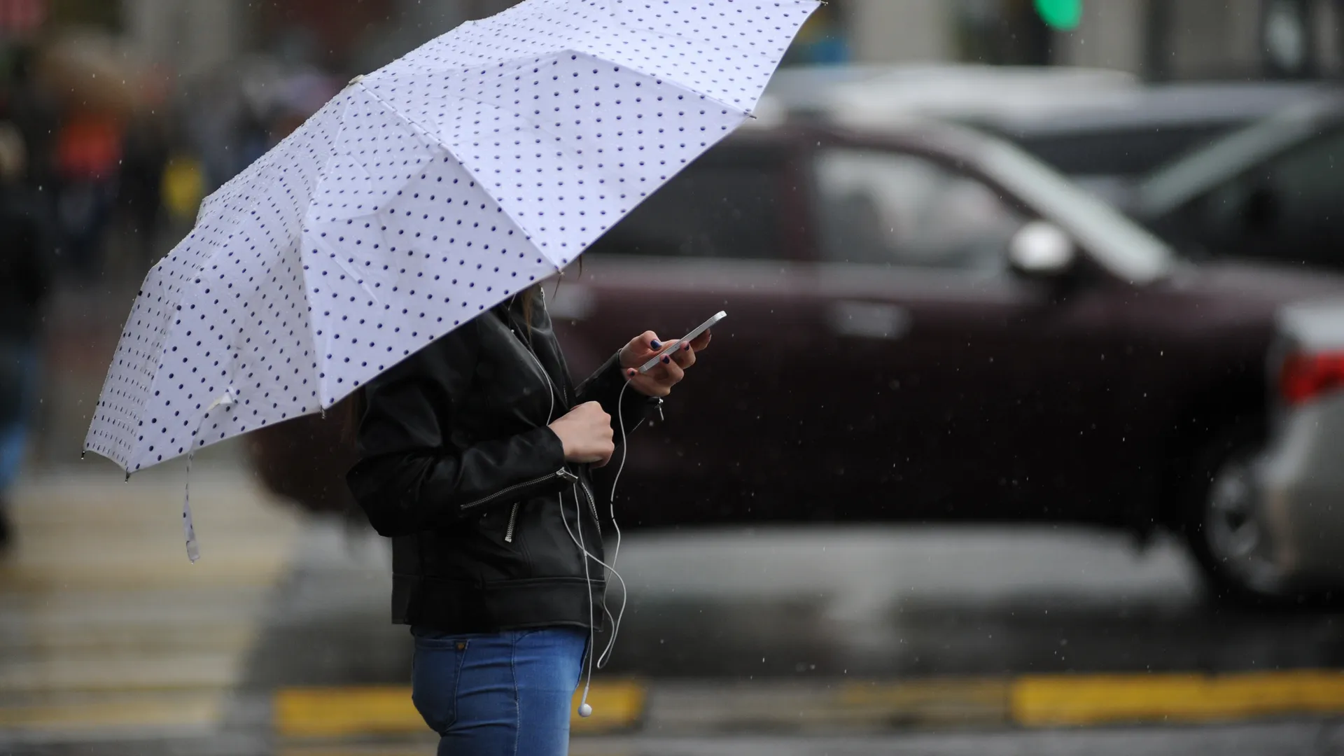 Кратковременный дождь и до +20 ожидается в Московском регионе во вторник