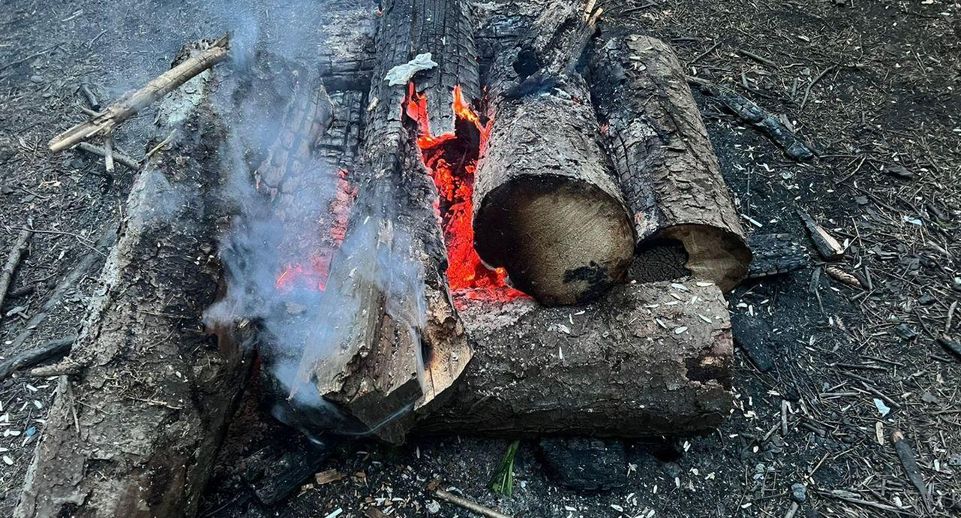2,1 тыс нарушений правил пожарной безопасности выявлено в лесах Подмосковья
