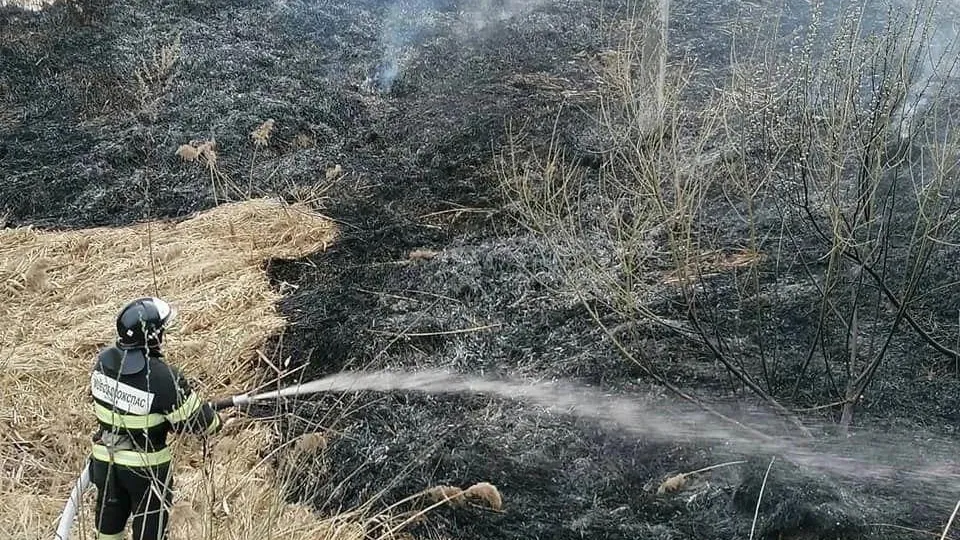 Огнеборцы ГКУ МО «Мособлпожспас» ликвидировали за сутки 6 палов сухой растительности