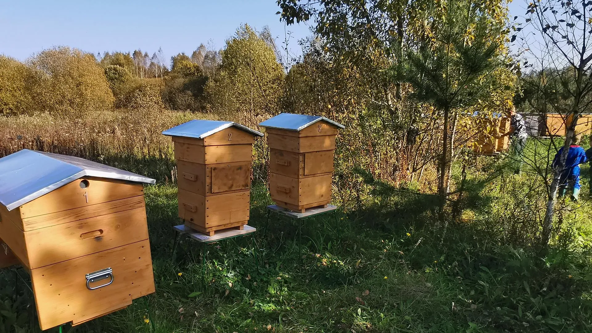 Пчелы, мед, ягоды, улитки и IT‑технологии: как в Подмосковье развивается семейная ферма
