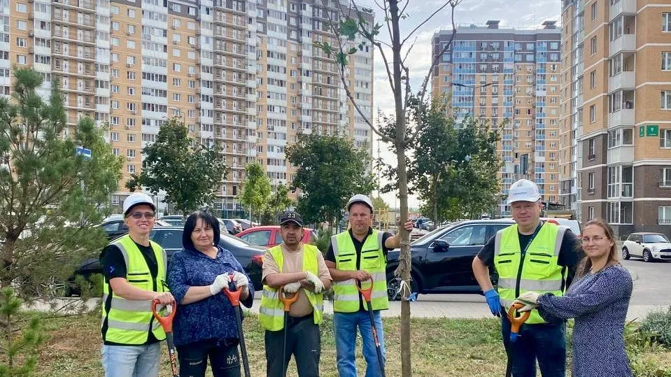 Порядка 900 кустарников и 50 деревьев посадили в ЖК «Люберцы» за 2024 год