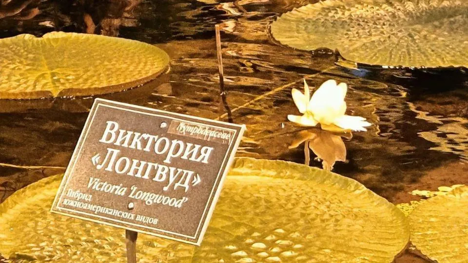 Аптекарский огород МГУ