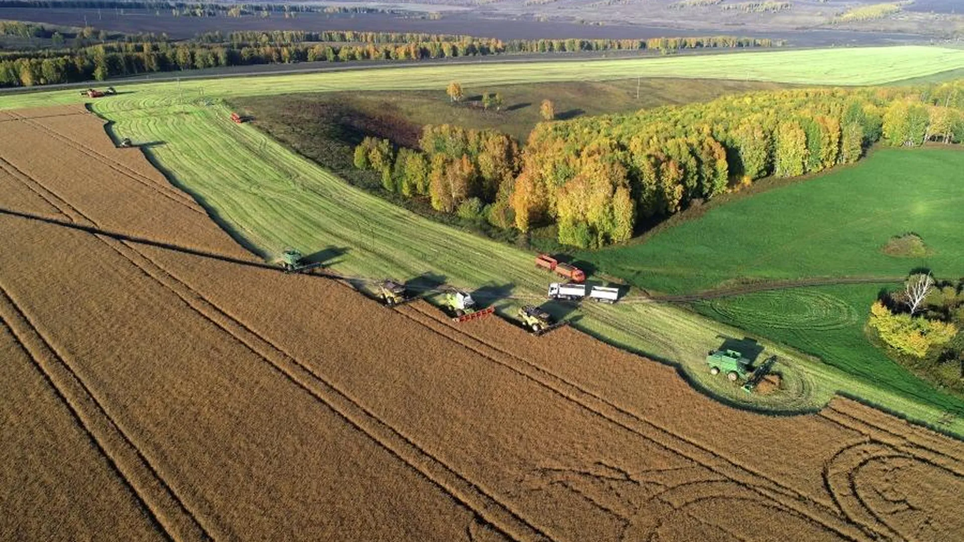 В РФ на поддержку сельхозпредприятий выделят 20 млрд рублей