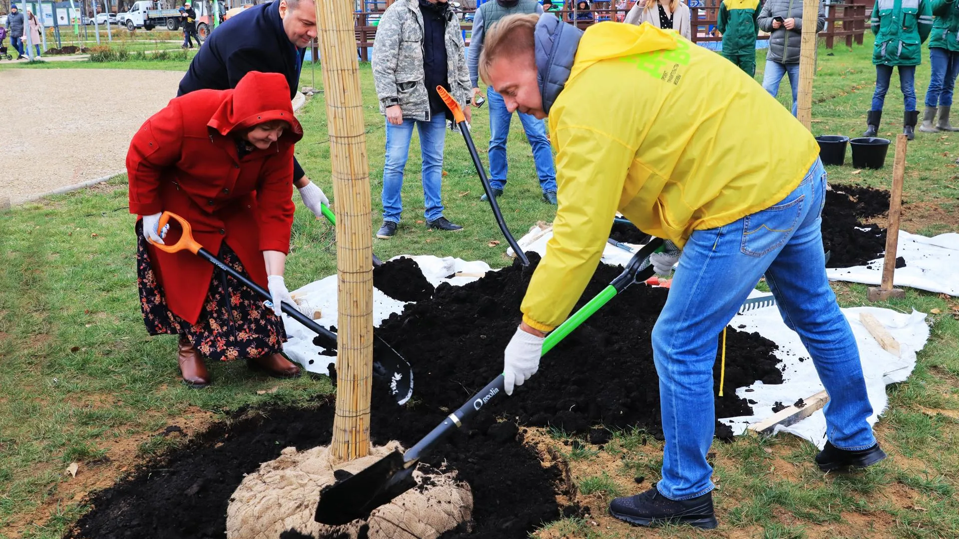 Более 2,3 тыс семей высадили деревья в московских парках в честь рождения детей