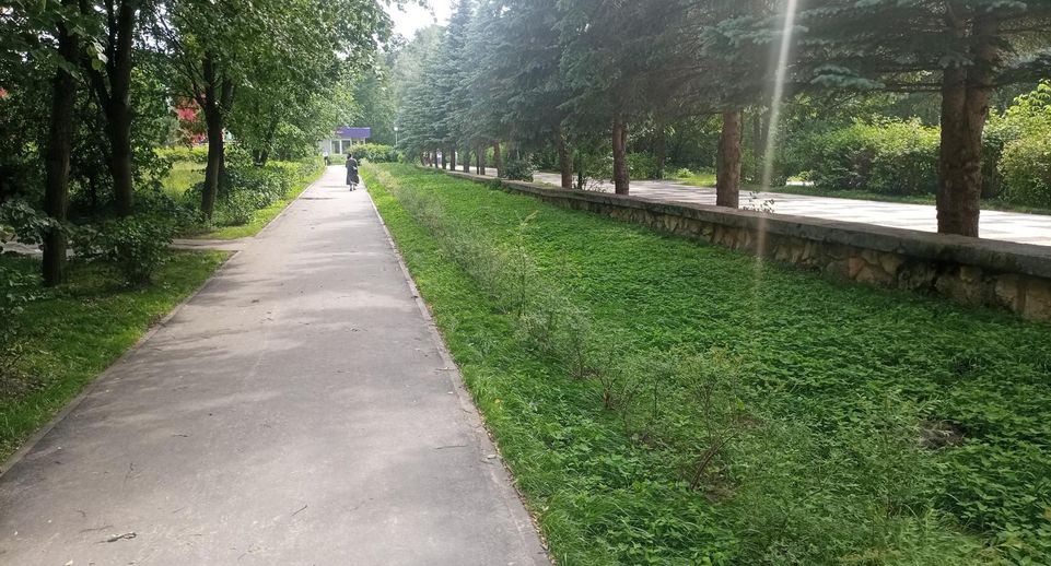 Работы по благоустройству леса у ТЦ «Слава» завершились в Протвине