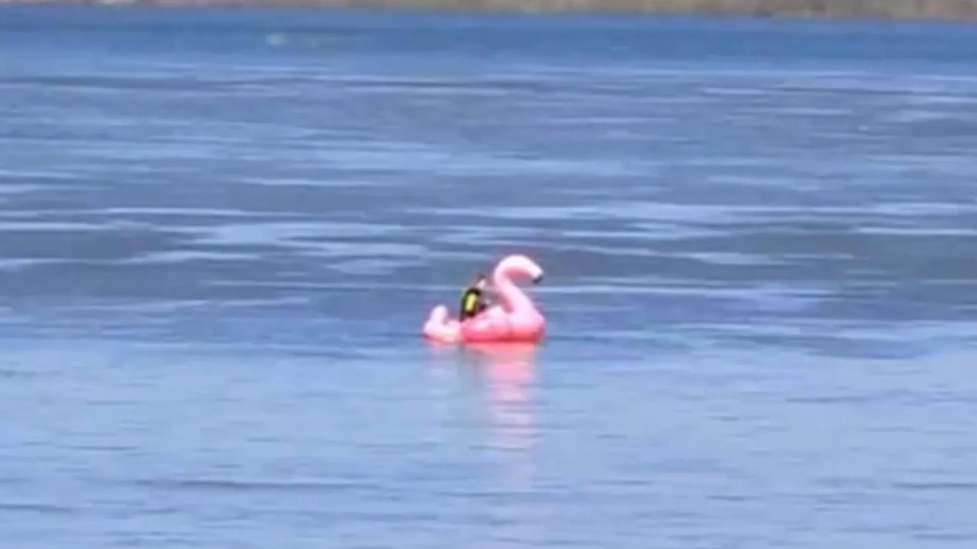 Сотрудники МЧС спасли блогера на розовом фламинго из Волги в Нижнем Новгороде