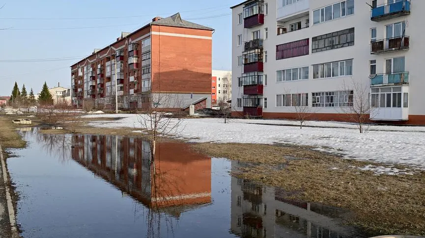 Снег на юге Подмосковья полностью растаял