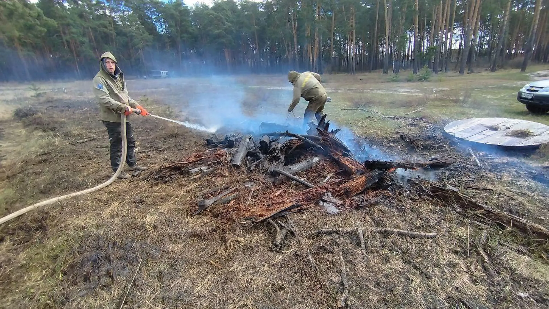Лесной пожар ликвидировали вблизи Луховиц