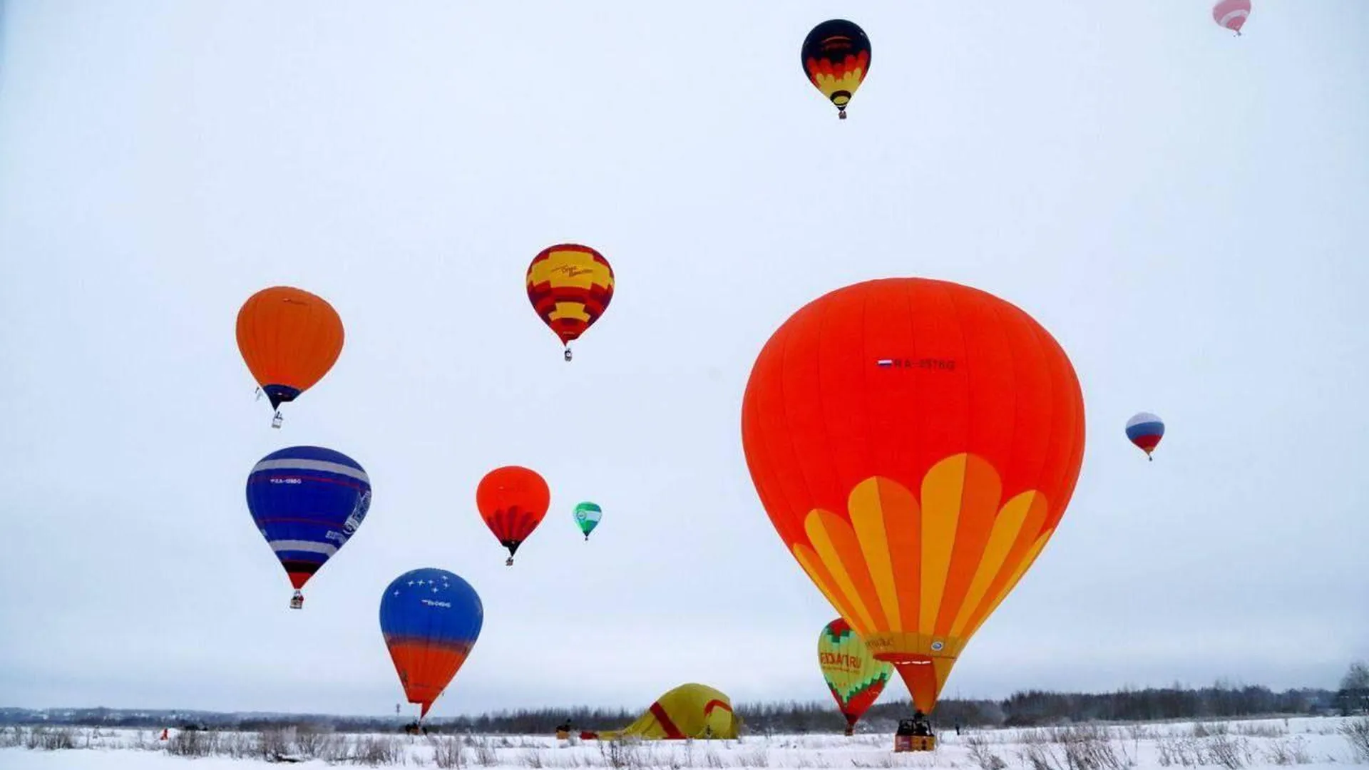 Фестиваль воздухоплавания «Яблоки на снегу» начался в Подмосковье