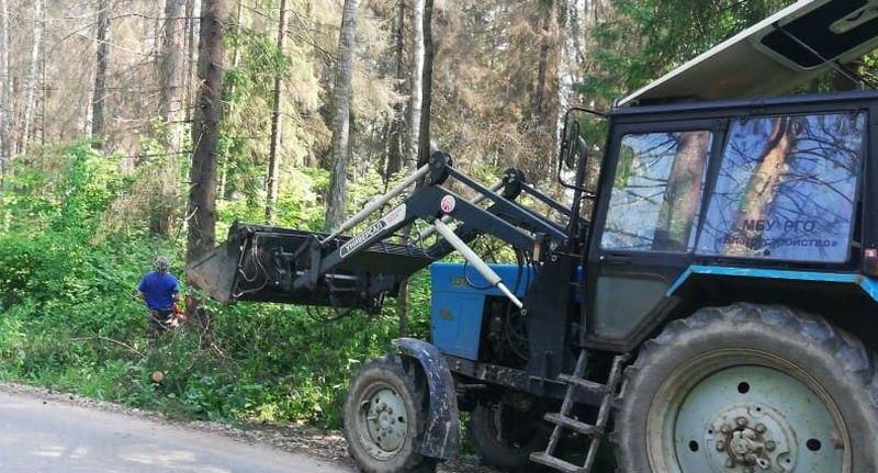 В Рузском округе специалисты убирают сухие деревья и обрезают кустарники