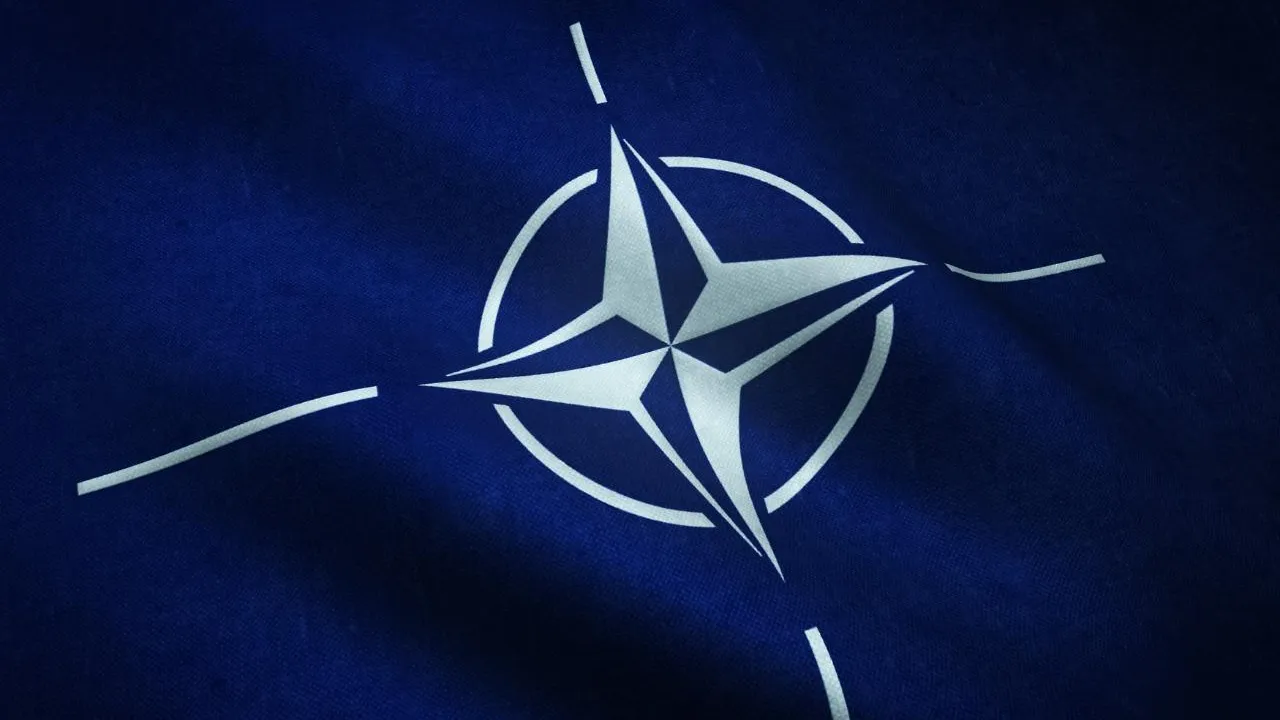 Пропаганда расширения НАТО: международную НПО признали нежелательной в РФ