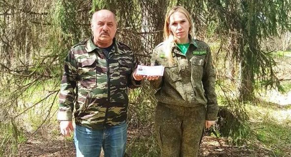 В Подмосковье рассказали о работе лесным инспектором