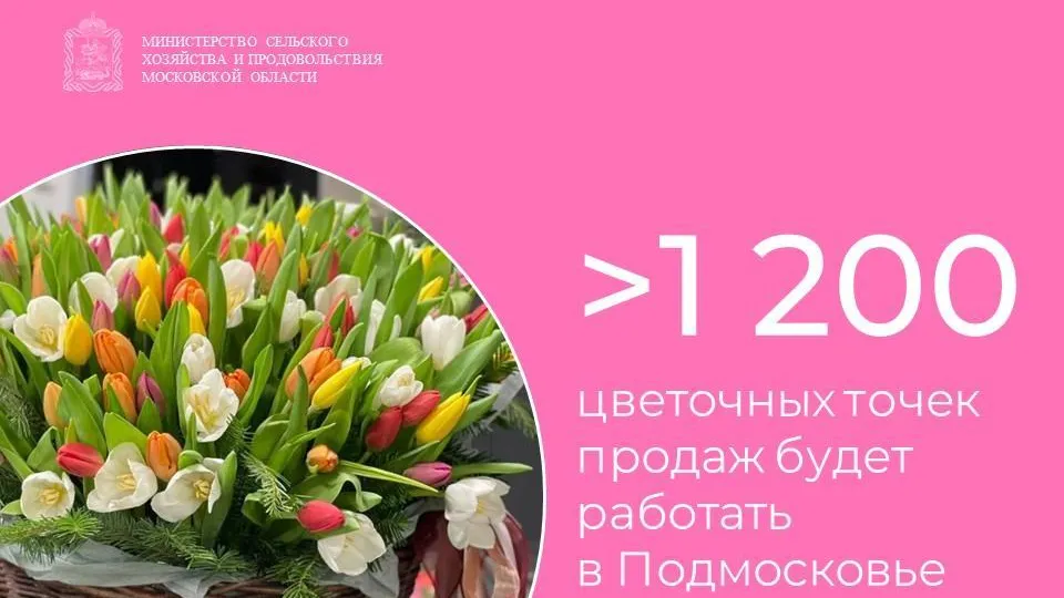 Свыше 1 200 мест продажи цветов будут работать в Подмосковье к 8 Марта