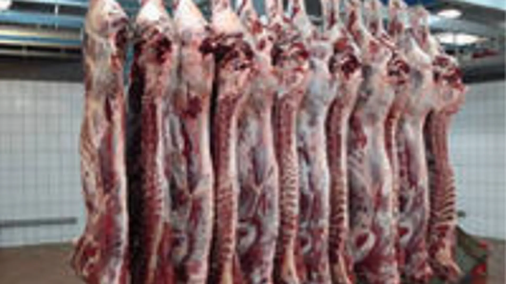 Россельхознадзор выявил нарушения в хранении мяса в магазине «Перекресток» в Коломне