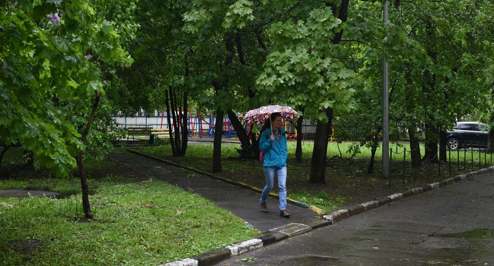 В выходные на Москву обрушатся ливни, гроза и ветер до 17 м/с