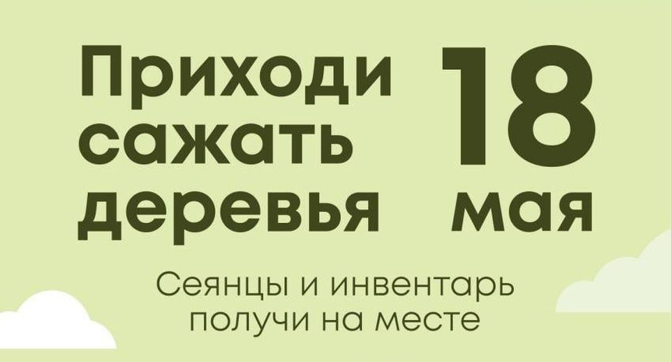 Ежегодная акция по посадке деревьев «Лес Будущего» стартует в Подмосковье 18 мая
