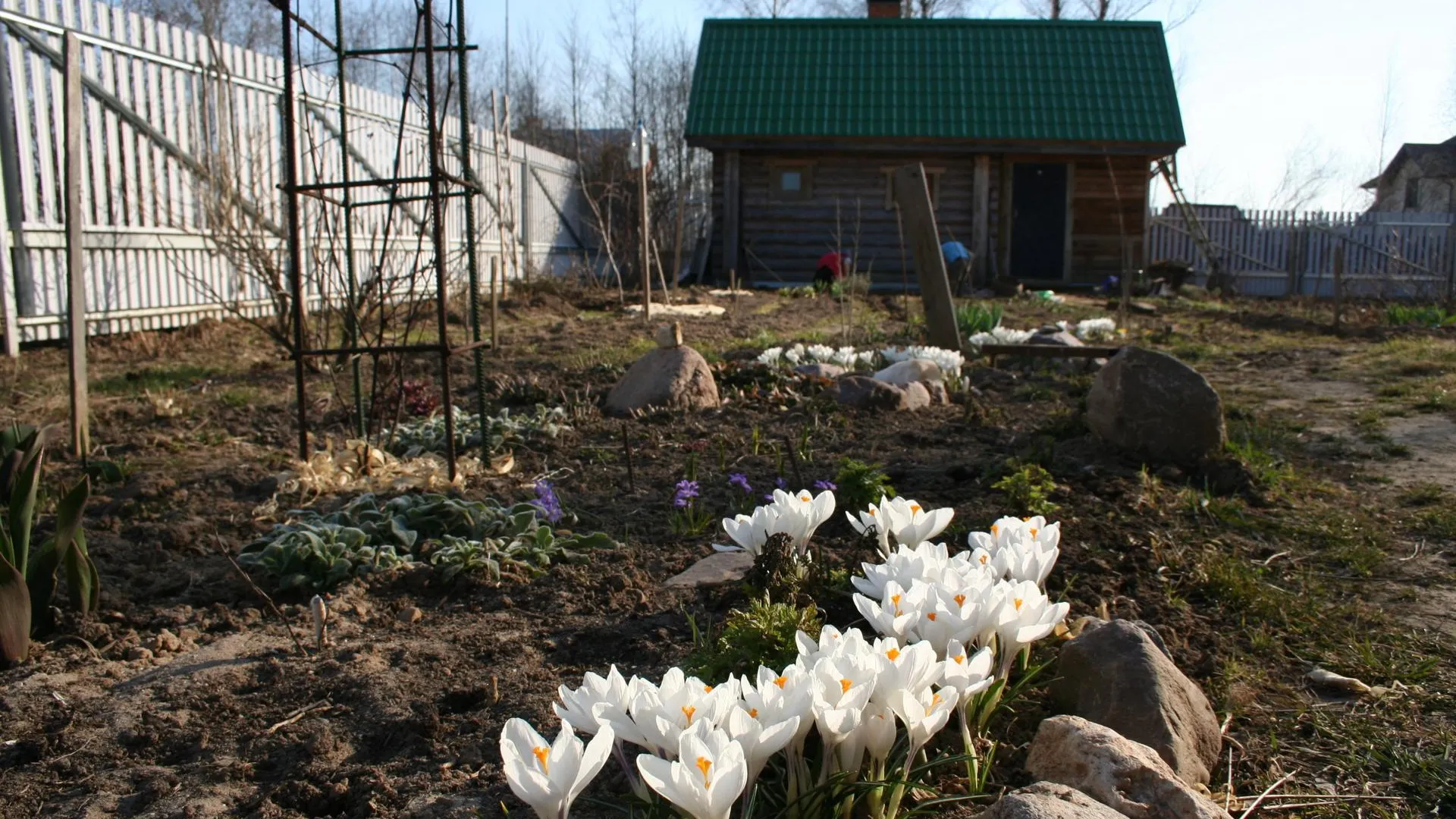 Дача Весной Фото