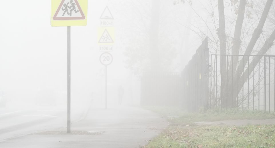 В Московском регионе объявлен «желтый» уровень опасности из-за грозы и тумана