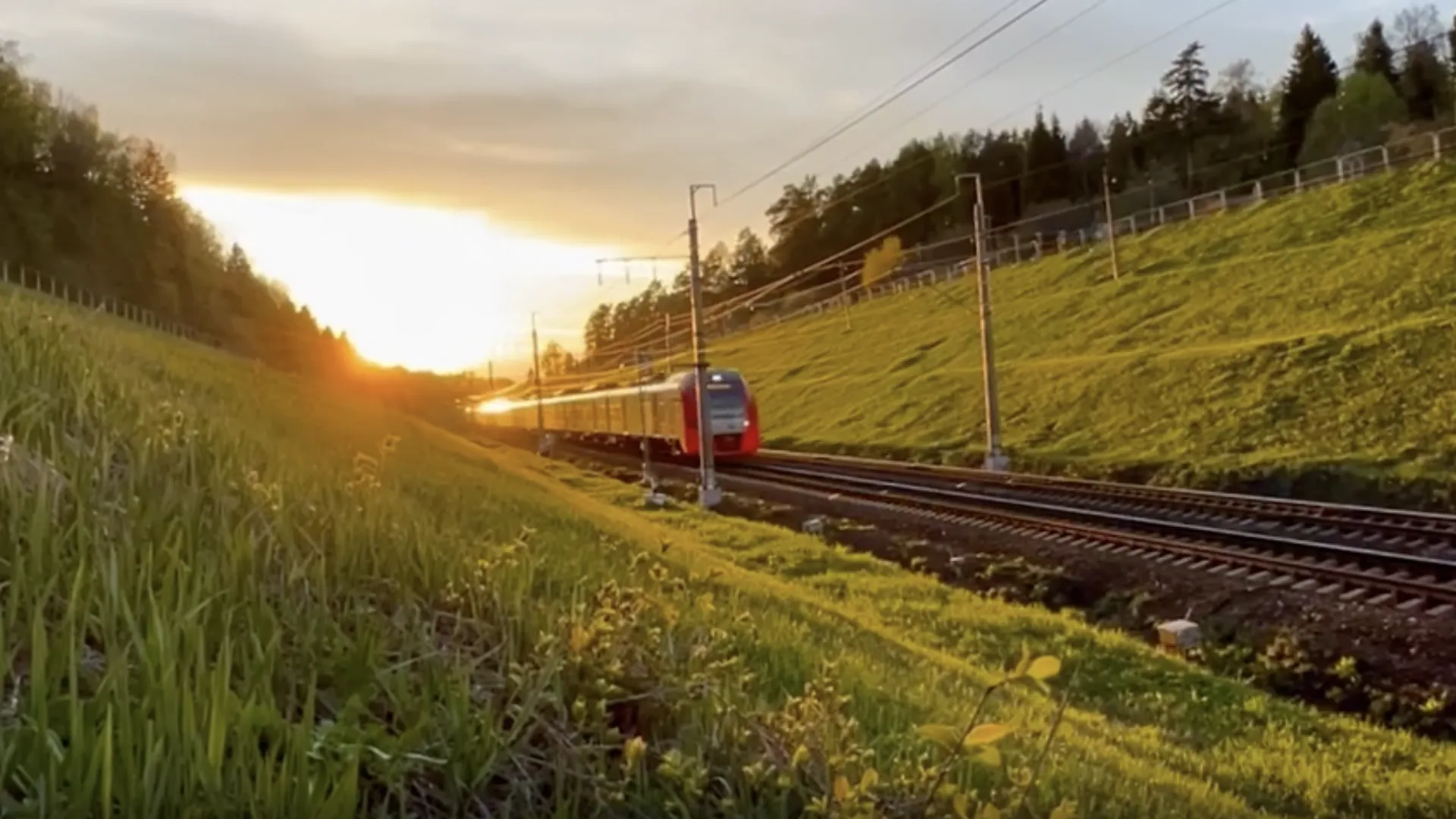 На Ленинградской железной дороге за 5 месяцев перевезли более 27 млн пассажиров