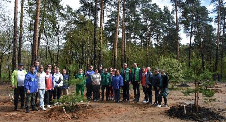В Жуковском высадили деревья в рамках акции «День добрых дел» и «Лес Победы»