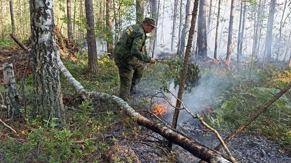 Торфяной пожар ликвидировали в округе Шатура