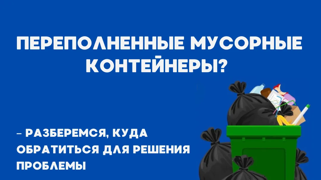 Жителям Подмосковья объяснили, куда обращаться при переполненных мусорных баках