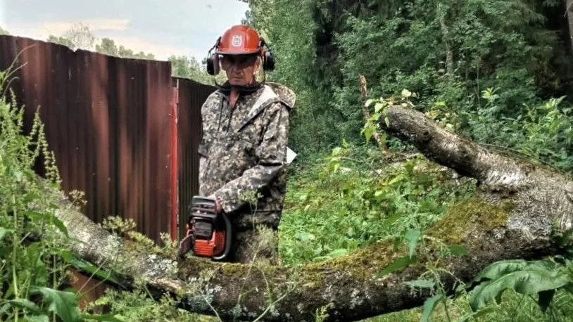Лесничие Талдомского округа помогли садоводу убрать упавшее на его забор дерево