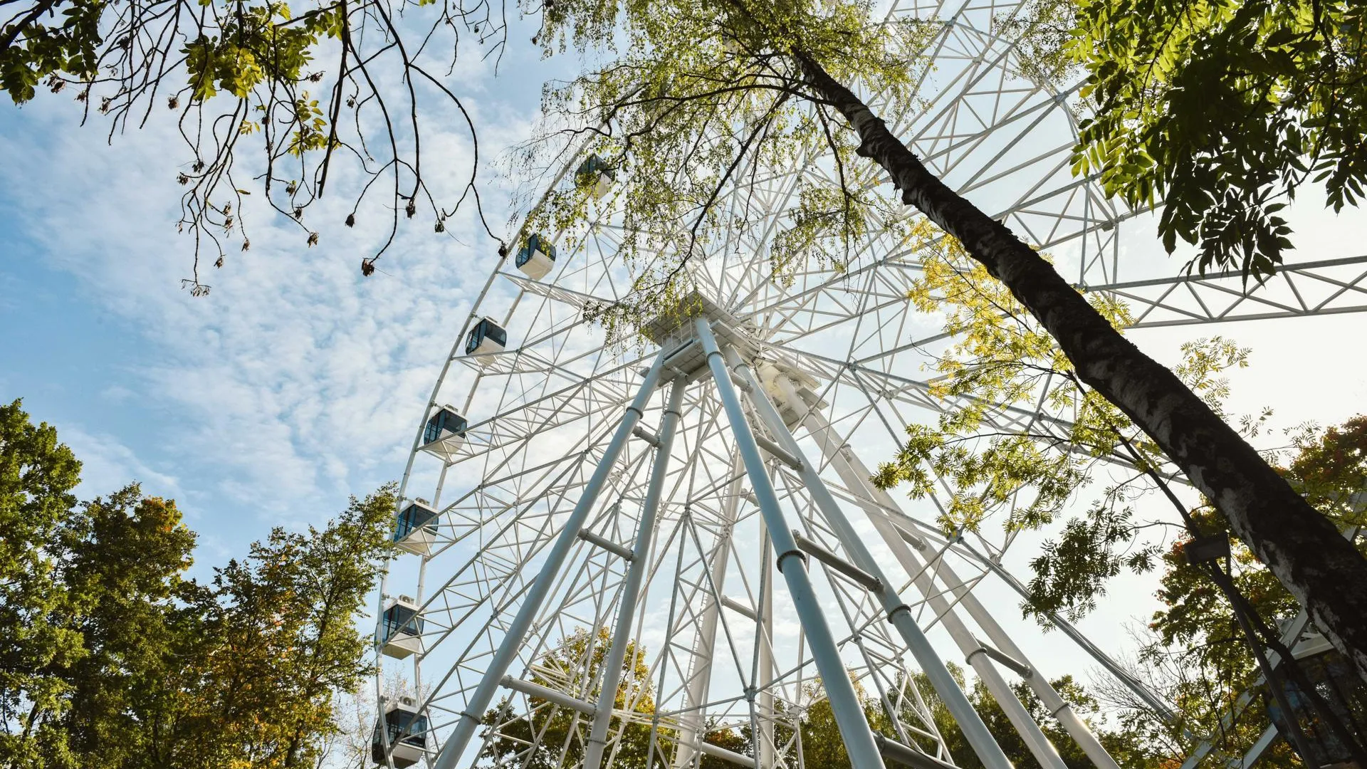 Более 2 тыс человек посетили колесо обозрения в Химках с начала лета