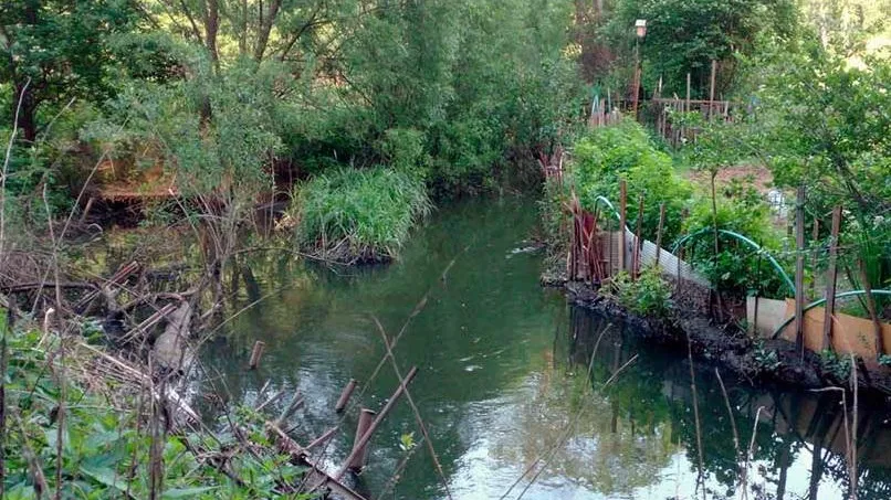 Незаконную свалку выявили в водоохранной зоне притока реки в Одинцовском округе