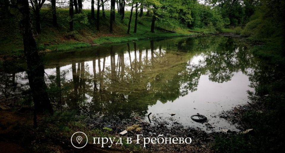В Щелкове очистят еще два пруда в 2024 году