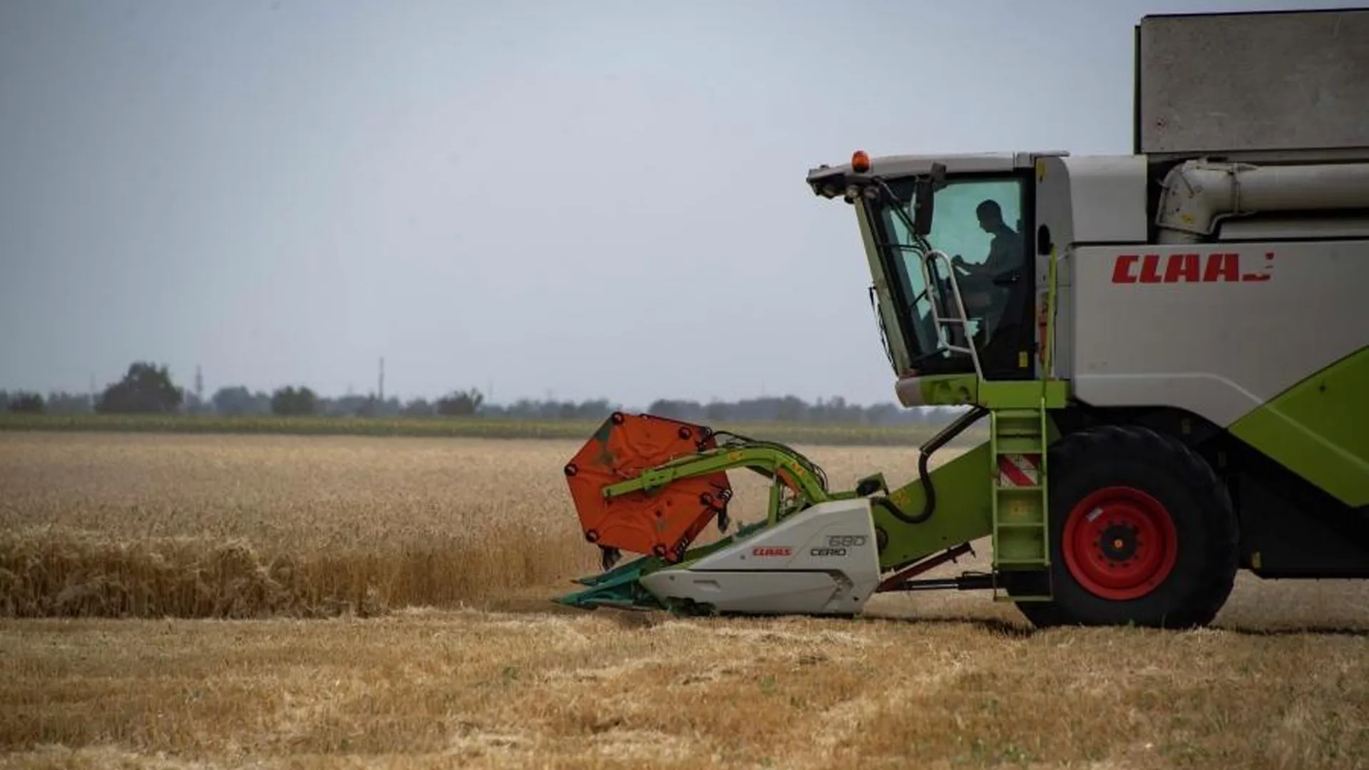 Чижов: Европа продлевает еще на год беспошлинный импорт продовольствия из Украины