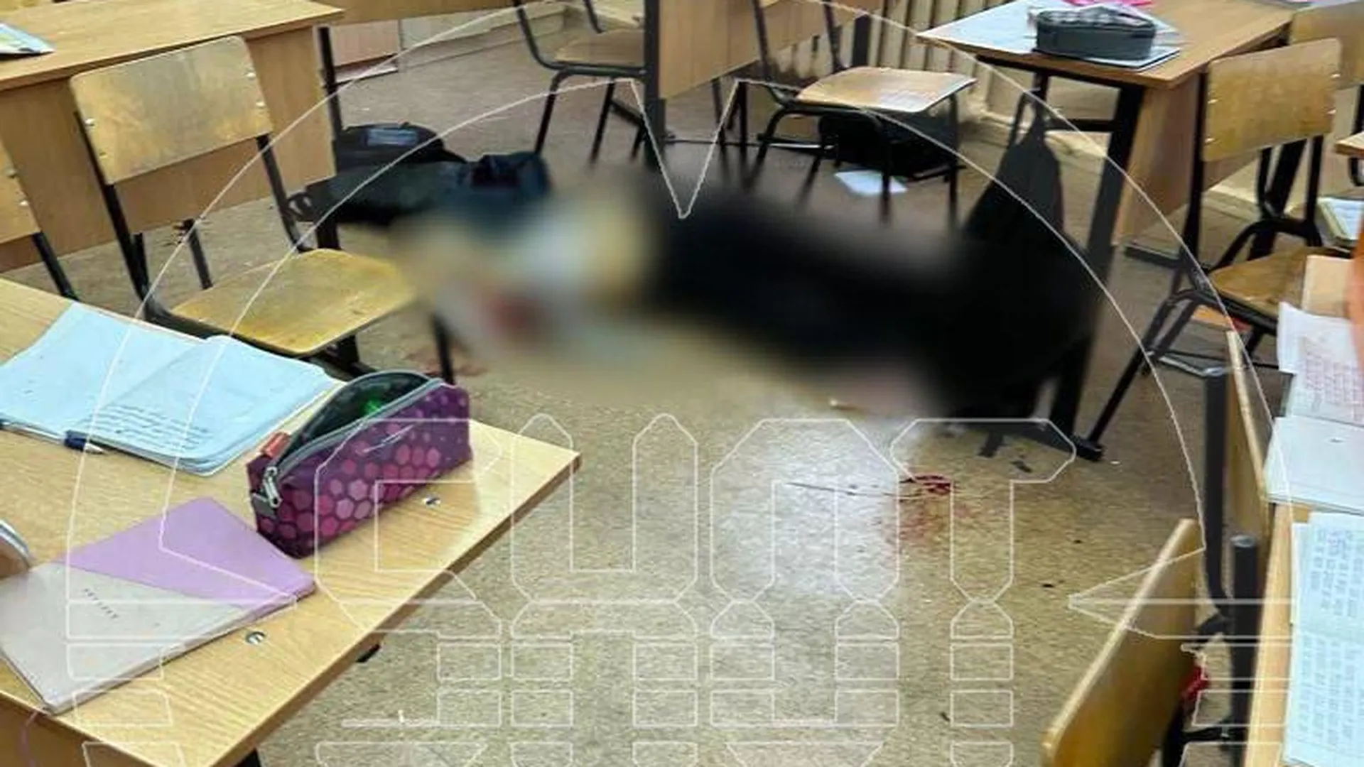 Что известно о трагедии в брянской гимназии №5, где ученица открыла стрельбу