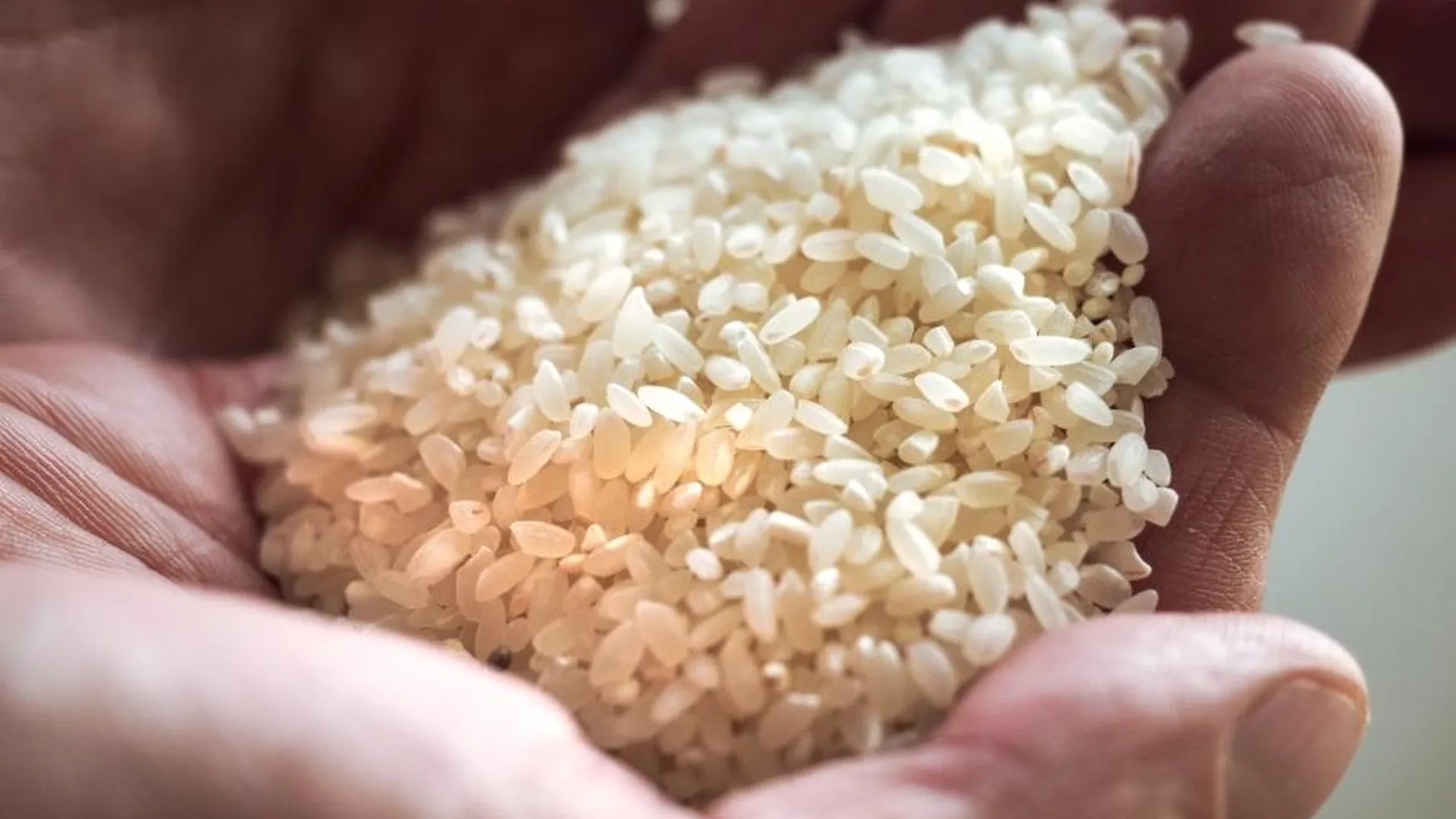 В России продлен запрет на вывоз риса до 30 июня 2024 г