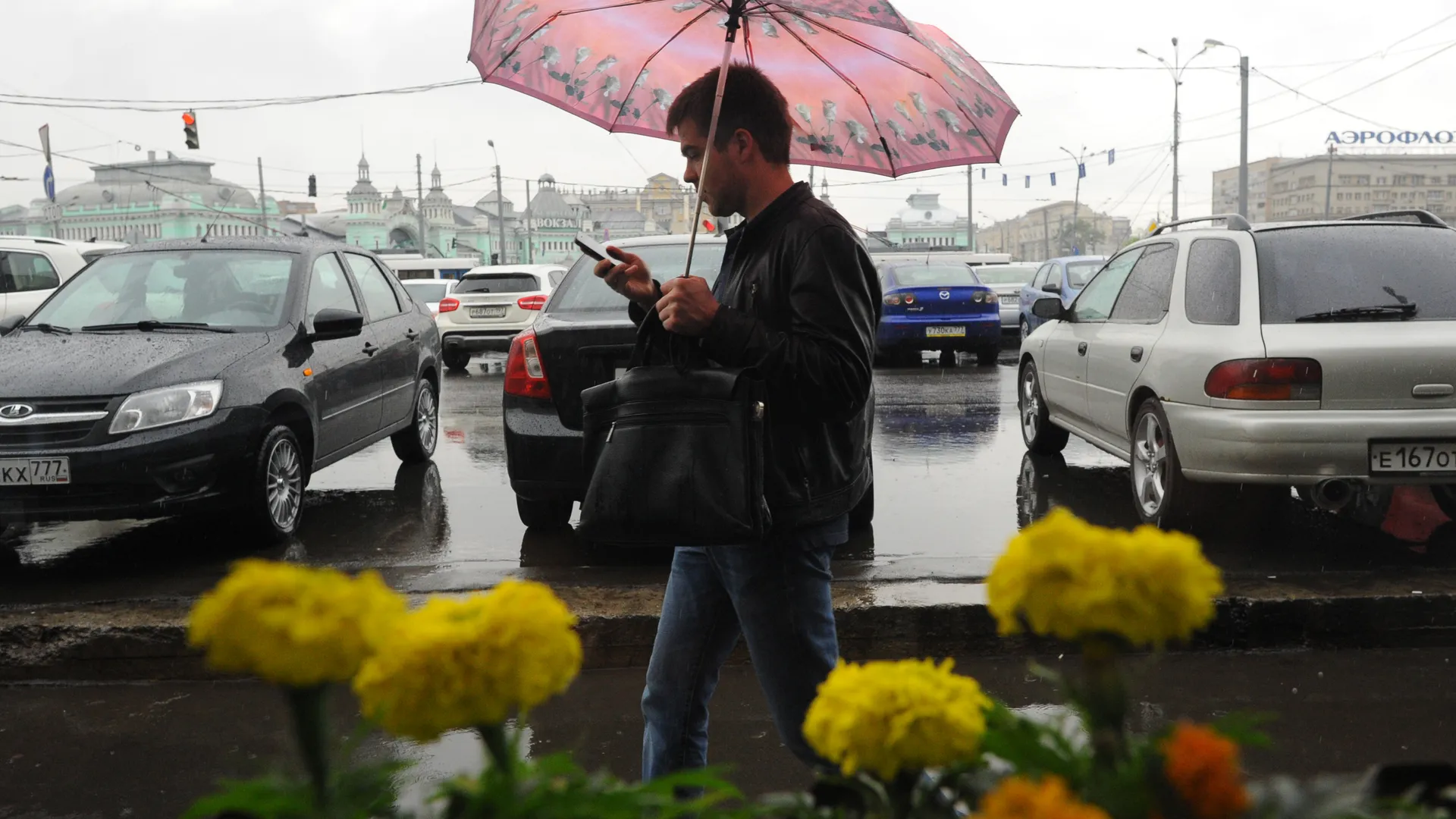 Теплая погода и кратковременные дожди придут в Московский регион на выходных