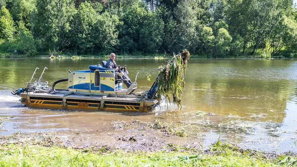 Пруд на притоке реки Ликова очистят в Одинцовском округе