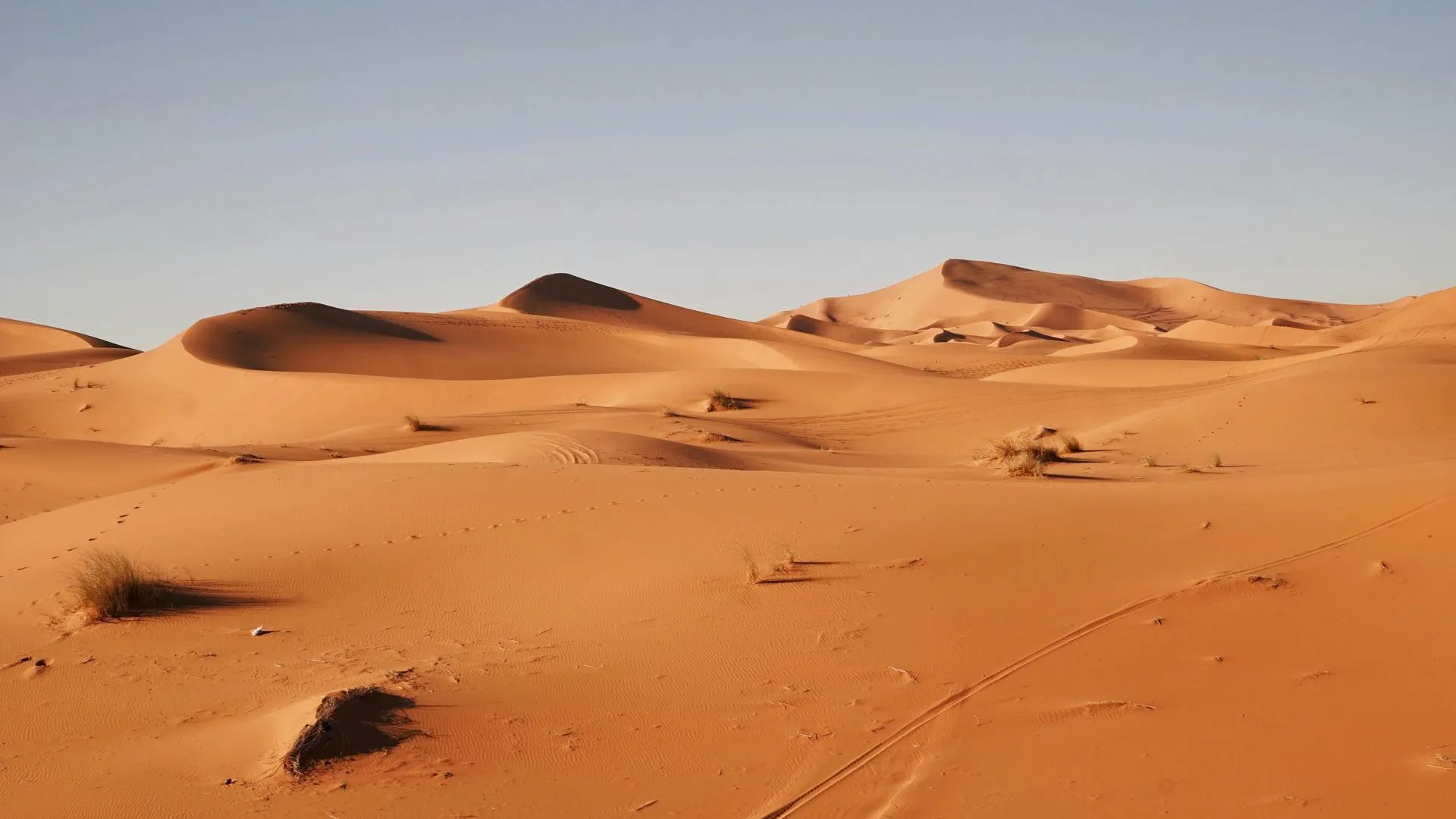 Ветер принес в Москву песок из пустыни Сахара