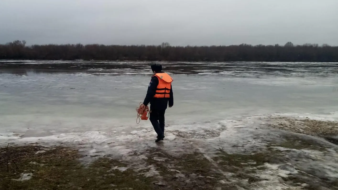 Рыбакам Подмосковья рекомендовали завершать сезон подледного лова